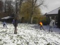 Afbeelding 098
